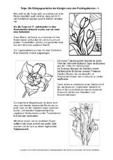 Tulpe-Erfolgsgeschichte-SW.pdf